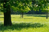 Lobau 07.05.11 0061